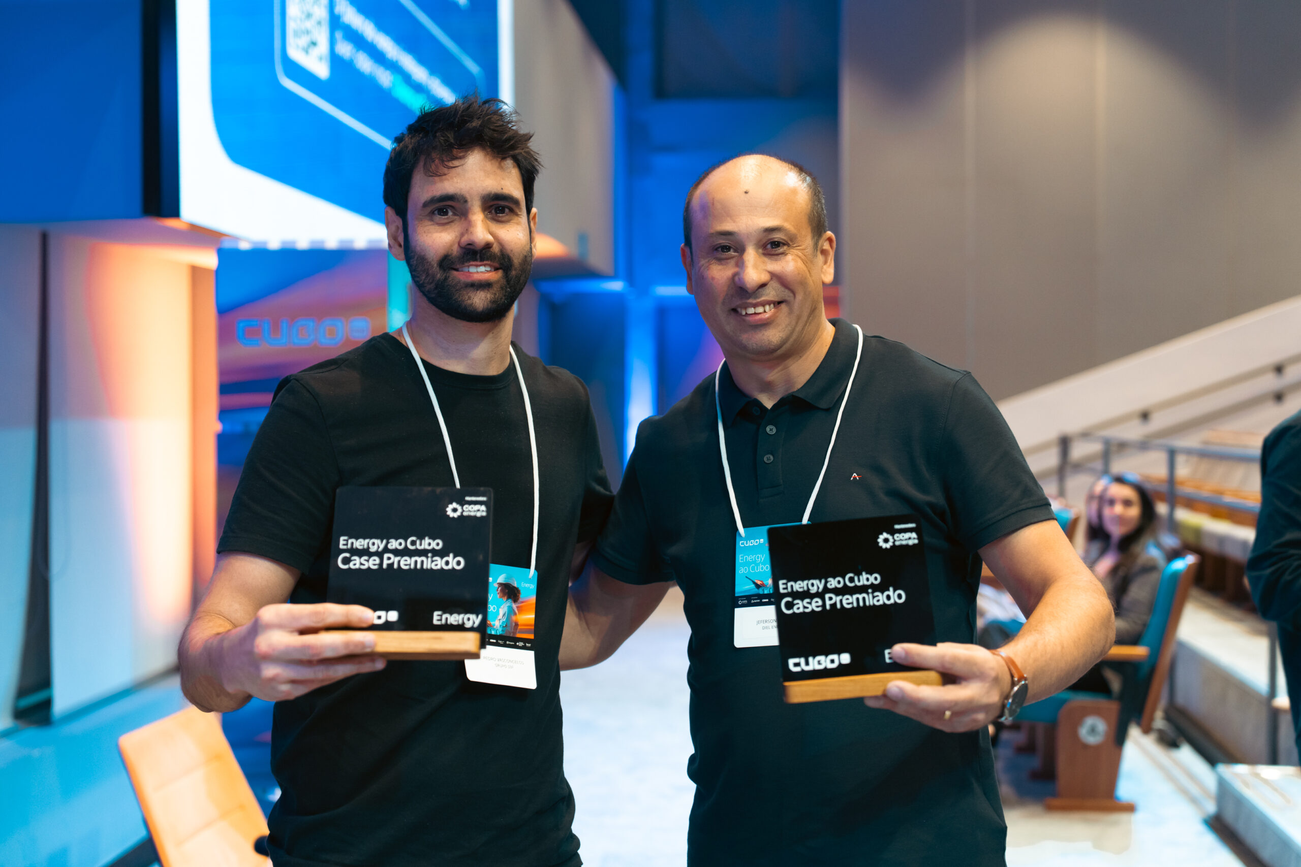 Destaque Diel Energia